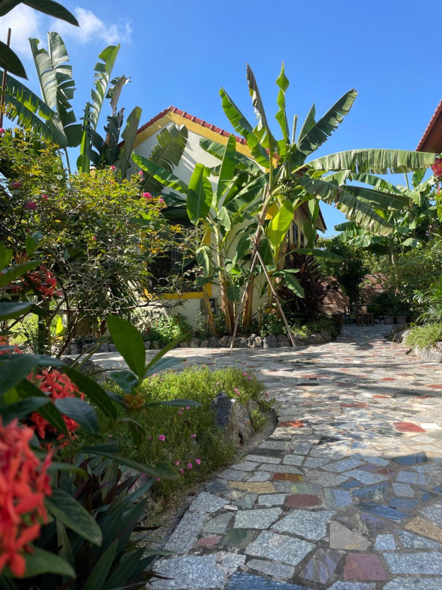 Ninh Binh Royal Homestay 외부 사진